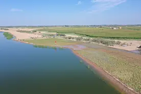 新时代中国调研行·黄河篇|宁夏：净化黄河“毛细血管” 守护一泓清水奔流图片