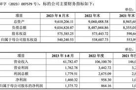 华西能源为优化资产结构补充流动资金 拟8.56亿元清仓出售自贡银行股权图片