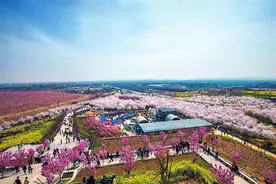 郑州周边 已经一路生花图片
