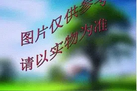 山东2025年艺体生注意！《现代教育》艺体专刊征订仅剩三天！图片