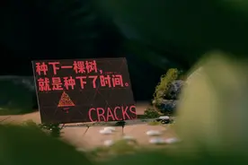 再获星云奖后，著名科幻作家刘洋长篇新作《裂缝》面世图片