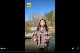 这个延安山村告诉你黄土高坡“换皮肤”的秘诀图片