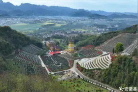 安徽青阳：搭建共祭平台 传承孝道文化图片