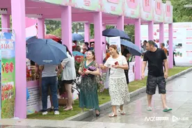 最高380元/斤！东莞高端荔枝云集，部分品种价格翻倍图片