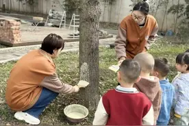 灞桥区狄寨三幼植树节系列活动图片