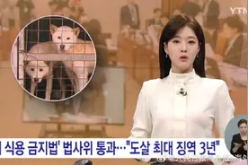 韩国国会通过禁食狗肉法案：以食用目的宰杀将获刑 设3年缓冲期图片