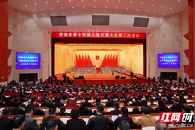 快讯丨湖南2025年将着重抓好这十大产业项目图片