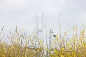 黄浦：阳春三月，“醉”美滨江景！图片