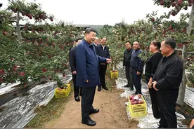 学习进行时丨“让农民腰包越来越鼓、生活越来越美好”——习近平总书记走进田间地头话“三农”图片