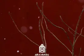 收藏！故宫蛇年初雪壁纸图片