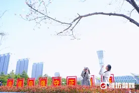樱花初绽，等你来邂逅图片