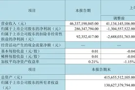 京东方A：2023年前三季度净利润10.22亿元 同比下降80.68%图片