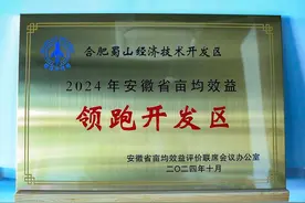重磅发布！合肥蜀山经济技术开发区领跑图片