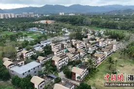 保亭诞生首个“百万村” 村集体经济收益超百万元图片