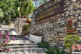 山东广建乡村“非遗技艺传习所” 为非遗传承人搭建“筑梦”空间图片