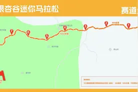 湖北随州迷你马拉松11月20日开启，这些路段实行交通管制图片