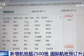 多重利好推动春节假期国际航班“升温” 数据折射旅游市场活力图片
