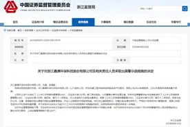 V观财报｜嘉澳环保两期年报不准确被警示图片
