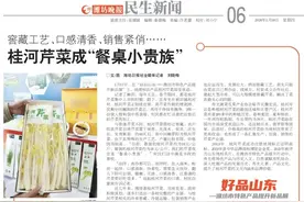 脆嫩清香、销售紧俏……桂河芹菜成“餐桌小贵族”图片
