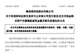 维信诺：深交所中止审核公司重组事项图片