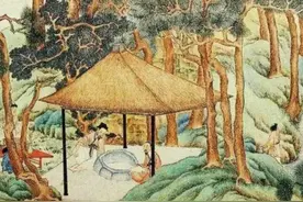 茶叶中的科学：2025年最值得收藏的春茶科普指南图片