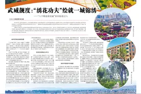 武威靓度：“绣花功夫”绘就一城锦绣——“八个维度看武威”系列报道之八图片