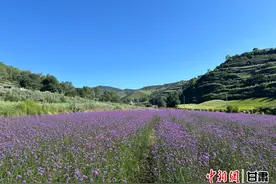 我们的家园 幸福美好新甘肃 | 临潭县八角镇庙花山村风景如画图片
