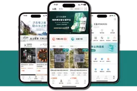 珍贵树木也有户口本了！海南东方首个沉香树不动产权证办理成功图片