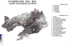 继续黄色预警，今日辽宁8地暴雪！图片