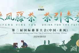 【来凤藤茶 茶引未来】一分钟讲藤茶图片