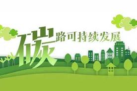 减碳跑鞋、再生面料、零碳店……安踏特步李宁比拼绿色赛道图片