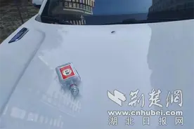 办案民警讲述全网热议的“高空抛物”事件细节图片