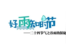 成长三十六计丨雨生百谷，快乐破土而来~图片