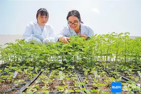 三亚崖州湾科技城坚持科研先行、引才培才，集聚高层次人才超2600人图片
