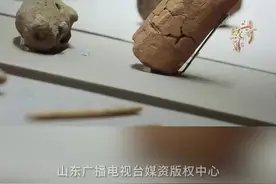 纪录片《后李》：考古学家教你辨别家猪和野猪图片