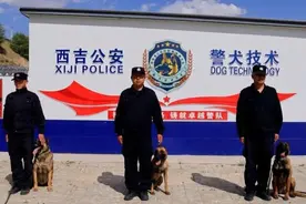 平安建设 | 这个警犬训练基地里，一半的警犬获评“功勋犬”~图片