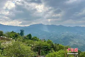 万千气象看云南丨来“天下茶仓”，品一盏古韵清茶图片
