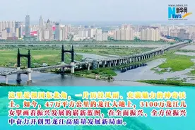 神州答卷丨松花江畔风正劲——黑龙江奋力开创高质量发展新局面图片