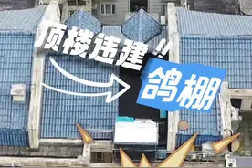 上个月被报道的扰民鸽棚，现在拆了吗？图片