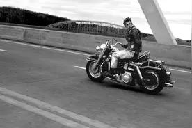 电影《摩托党》公布剧照 汤姆·哈迪骑哈雷公路狂飙图片
