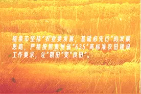 换个方式看党刊 | 【调查研究】建设高标准农田 让“粮田”变“良田”图片