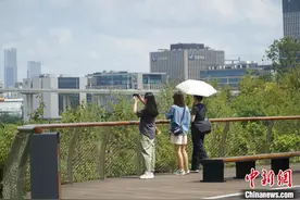 申城市中心可爬山了！上海双子山9月19日开放登山预约通道图片