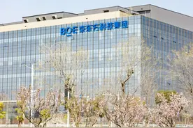 东西湖：“链”就产业新优势图片