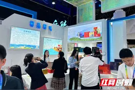 “湘”遇中部博览会 湖南民企忙图片