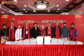 《山川重构——林顺文作品集》日前正式发行图片