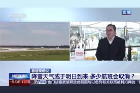春运期间提前多久到机场？携带行李有哪些要注意？一组问答帮你无忧飞回家图片