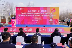 2025年青岛西海岸新区春季“海洋大集”暨红石崖街道第十五届雷家店子草莓节启幕图片