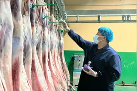 高昌区：加强节前畜产品检查确保市民吃上放心肉图片