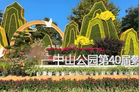 青岛市第40届中山公园菊展开幕，地铁出行路线请查收！图片