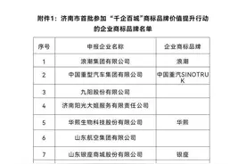 济南19个商标品牌入选国家知识产权局首批“千企百城”名单图片